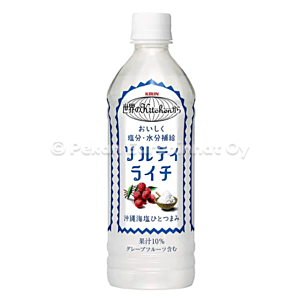 Kirin Salty Lychee Juice 24x500ml
