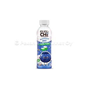 Cocochi Blueberry Juice Nata de Coco 24x450ml